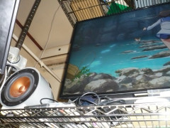 【悲報】今の若者、オーディオ機器に興味を無くしてしまう