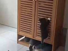 ふたりの可愛い子が挑戦していた。あきらめたらそこで試合終了ですよ → 結果…