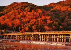 【悲報】京都で行方不明のアメリカ人男性さん、山岳地帯で死亡確認・・・・・・・・・