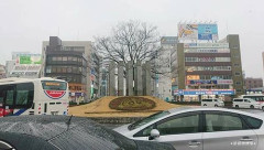 【悲報】JCさん、顔面スプレー強盗をしたのに60代女性に取り押さえられてしまう