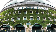 【悲報】3年間毎日休まず高校野球練習した成果wwwwwwwwwwwwwwwwwwwwwwww