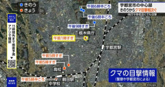 【緊急】 宇都宮、クマが暴れ回る