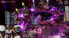 【FF14】絶妖星乱舞ワールドレースを配信で盛り上げてくれた日本チーム「Poikos」が月曜日のため惜しくもレースから離脱。応援してくれたユーザーからは惜しみない賛辞が寄せられる