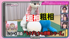 【櫻坂46】Buddiesの予想結果は... ついにウサギの正体が判明！