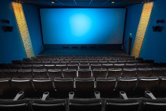映画館で感動して泣く客ってマジでいるの？