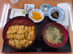 【画像】ウニ丼食べに来たぞｗｗｗｗｗｗｗ