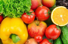 【画像】農家さん「農薬を使わない野菜というのはこういうことだ」（パシャッ）　→　誰が見ても一発でアカンとわかるエグい写真がこちら……