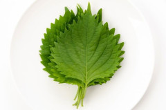 美味くて草ってなった草