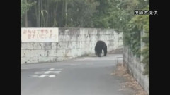 日宇都宮市の全ての市立小中学校が臨時休校　夜中も相次ぐクマの目撃　警察や猟友会がパトロールで注意呼びかけ