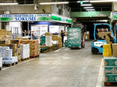 【静岡促成株式会社】中国産の白ネギを長野県産・青森県産・茨城県産と産地偽装して販売　総量6.8トン