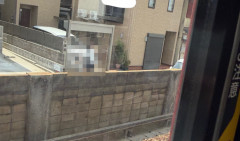 電車に乗ってる彼女「彼氏から横見てって連絡来た。なんだろ？」ﾁﾗｯ → 彼氏が〇〇してて蛙化してしまうｗｗｗｗｗ