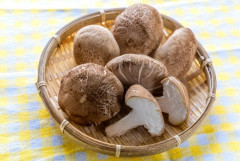 『しいたけ』とか言う出汁になるしか能ののないキノコ