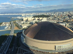野球素人なんだが贔屓作りたいからビギナーにオススメの球団教えてくれ
