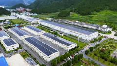普通の日本人さん、中国の抹茶生産に激怒！たった1つの企業の抹茶生産量が日本全体の生産量を超え「半額以下」