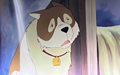 「フランダースの犬」について知っていること。