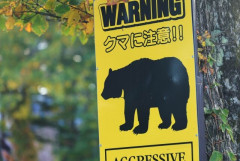 クマの襲撃は「力士がナイフ持って原付で走ってくる」ようなもの