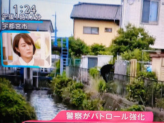 【動画】宇都宮のクマ、完全に動きが『人間化』してる…