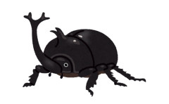 カブトムシ飼ったことある奴にしかわからないこと