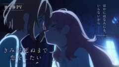 夏の百合アニメ「きみが死ぬまで恋をしたい」新PV公開！！　すごくすごく期待できそうな作品やな