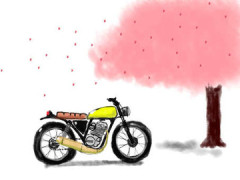 永野芽郁「1人でお花見したら悪いですか！」ジャンボたこ焼きを買って1人でパクリ！！