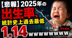 【悲報】2025年の出生率、統計史上過去最低1.14ｗｗｗｗｗｗｗｗｗｗｗｗ
