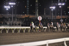 【競馬予想】第3回東京ダービー(Jpn1)大井/2026