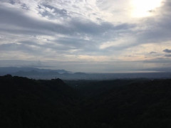 三島・沼津・伊豆でおすすめの観光地ある？