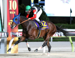 【東京ダービー】フィンガー強すぎワロタｗｗｗwｗｗｗwｗｗｗ