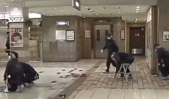 大阪･天王寺駅の地下街「あべちか」で女性が刺される　現場から男2人が逃走中（動画あり）