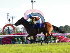 【競馬予想】[3]第67回宝塚記念(GⅠ) /2026