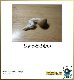 【画像】思わず保存した最高の画像・腹筋崩壊した画像を貼っていけｗｗｗ