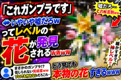 【画像】「これガンプラです」←いやいや嘘だろってレベルの花が発見されるｗｗｗｗ