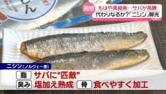 ノルウェー、サーモン・鯖に続く「第三の刺客」として『ニシン』を日本の食卓へ