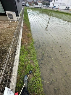 農家「隣で除草剤撒かれて稲枯れた、許されんぞ・・・」←3万いいねｗｗｗｗ