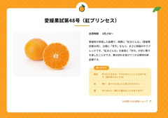 愛媛産の高級かんきつ新品種｢紅プリンセス(愛媛果試第48号)｣が中国流出か 大手通販サイト｢タオバオ｣で販売される