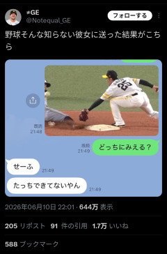 【悲報】阪神ファン「野球知らない彼女に誤審シーンを見せたらセーフって言ってた」←いいね1万超えｗｗｗｗｗ