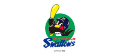【悲報】最強ヤクルトスワローズさん、今日負けると10連敗が見えてくるｗｗｗｗｗｗｗ