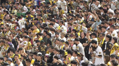 熱い阪神ファン、今夜もリプレイ検証に怒りのブーイングｗｗｗｗ