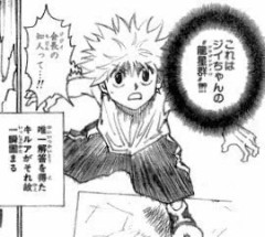 【ハンターハンター】身内の念能力をいつの間に知ったんだろ