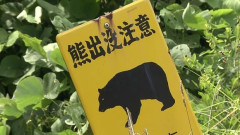 【宮城】「飼い犬が腹から出血」クマに襲われたか　近くには足跡も　蔵王町