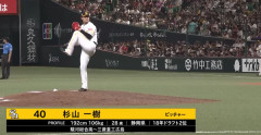 樹木カルテット、誕生