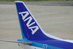 【航空】ANA、問い合わせメール最大2カ月返信待ち　国内線トラブルで急増