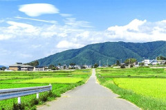 「田舎あるあるなんだけど、歩道はあっても◯◯◯で通れないこと多くない？」←共感の声多数！これどうなってんだよｗｗｗｗ