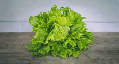 【画像】水耕栽培がクッソ楽しい件wクリーンな野菜が台所で爆誕してそれを食べられる喜びw