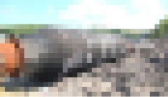 【！？】中国から推定300トンもするとんでもない物が日本に漂着・・・撤去費用は驚異の○○○○万円