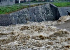 【悲報】東京、大豪雨