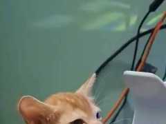 かわいい子が給油していた。ここはブサイクお断り！ → そんな給油所はこちらです…