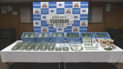 ベトナム国籍の男女を不法に働かせた疑い、農家ら4人を逮捕　大葉のパック詰めで1パック40円の報酬か [6/12]
