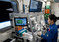 宇宙で赤ちゃんは産める？…中国が人工胚を宇宙に打ち上げる！