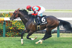 【競馬予想】第33回函館スプリントステークス(GⅢ) /2026